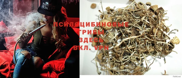 экстази Покачи