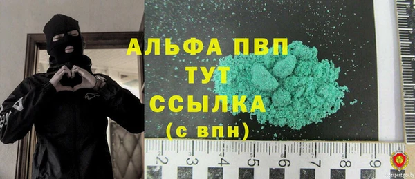 молекула духа Переславль-Залесский