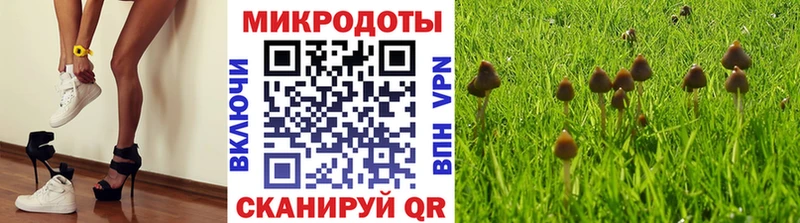 Галлюциногенные грибы прущие грибы  Льгов 
